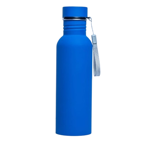 Ransomee Stainless Steel Bottle