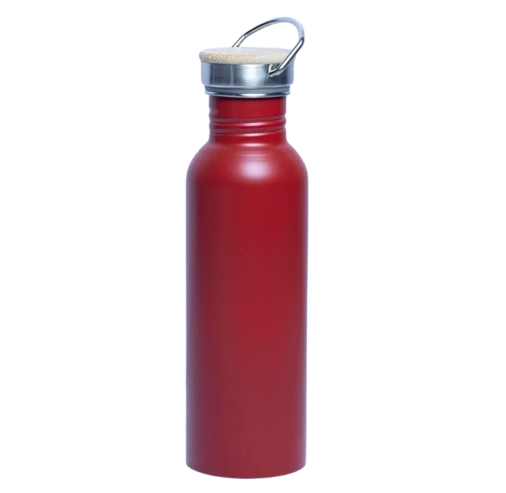 Whitney Steel - Bamboo Lid Bottle